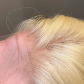 613 Honey Blonde Wig 13x4 HD Lace Front Human Hair Wigs Brazilian Straight Hair