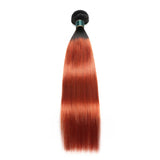 Colored Human Hair Weave Bundles with Dark Roots 100g